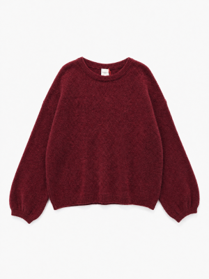 Megztukas Alpaca - Image 3